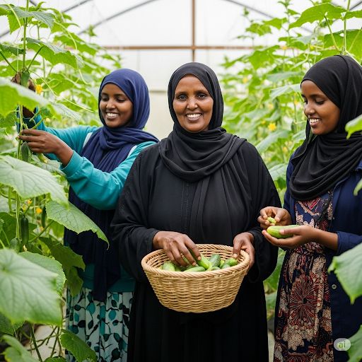 Agricultural innovation